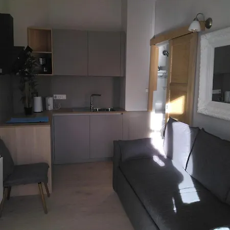 Confortable Avec Balcon A Aix-les-Bains